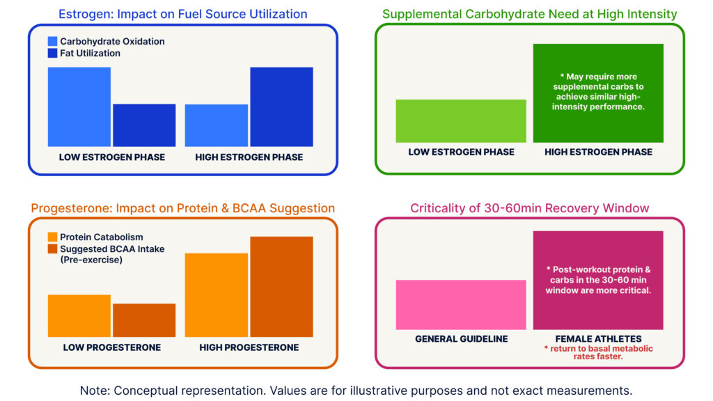 This image features four bar graphs that illustrate the impact of estrogen and progesterone on fuel utilization, carbohydrate needs, protein metabolism, and recovery in female athletes.The first graph, Estrogen: Impact on Fuel Source Utilization, indicates that carbohydrate oxidation is higher during the low-estrogen phase, while fat utilization is higher during the high-estrogen phase.The second graph, Supplemental Carbohydrate Need at High Intensity, shows that supplemental carbohydrate need is higher during the high estrogen phase. On the high-estrogen phase, the graph states: "May require more supplemental carbs to achieve similar high-intensity performance.The third graph, Progesterone: Impact on Protein & BCAA Suggestion, highlights that both protein catabolism and suggested BCAA intake are higher during the high-progesterone phase.And the fourth graph, Criticality of 30-60min Recovery Window, observes that the 30-60 minute recovery window is more critical for female athletes. For female athletes, the graph states: "Post-workout protein & carbs in the 30-60 min window are more critical. Female athletes return to basal metabolic rates faster."There&rsquo;s a note at the bottom of the graphic that reads: "Note: Conceptual representation. Values are for illustrative purposes and not exact measurements."