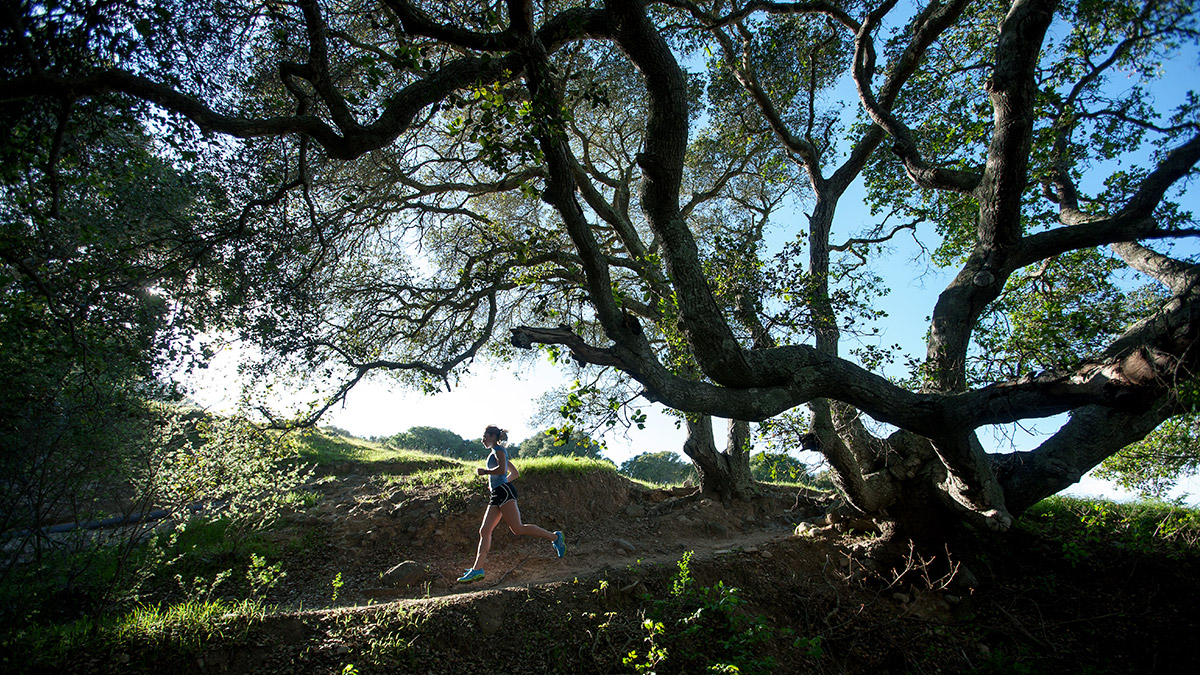 Female Athletes Should Ensure Adequate Caloric Intake To Prevent Exercise Induced Amenorrhea Female Runner Jogs In Forest Beneath A Large Tree. Woman Eats Enough Food To Prevent Exercise Induced Amenorrhea